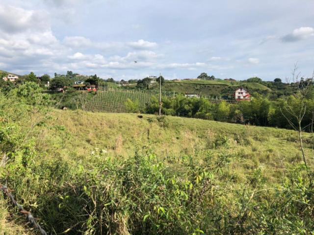 Lote En Arriendo En Pereira A93511