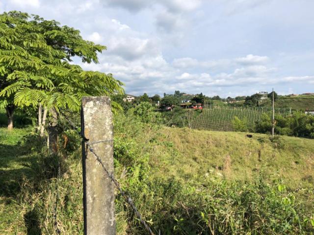 Lote En Arriendo En Pereira A93511