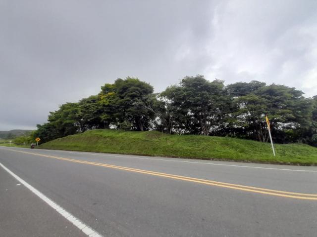 Lote En Arriendo En Pereira A93511