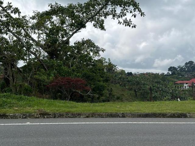 Lote En Arriendo En Pereira A93511