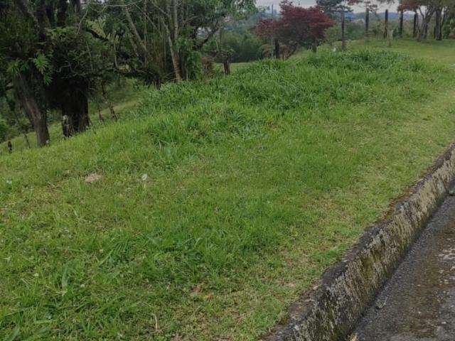 Lote En Arriendo En Pereira A93511