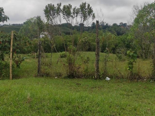 Lote En Arriendo En Pereira A93511