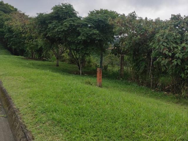 Lote En Arriendo En Pereira A93511