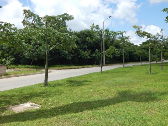 Lote En Arriendo En Puerto Colombia A146899