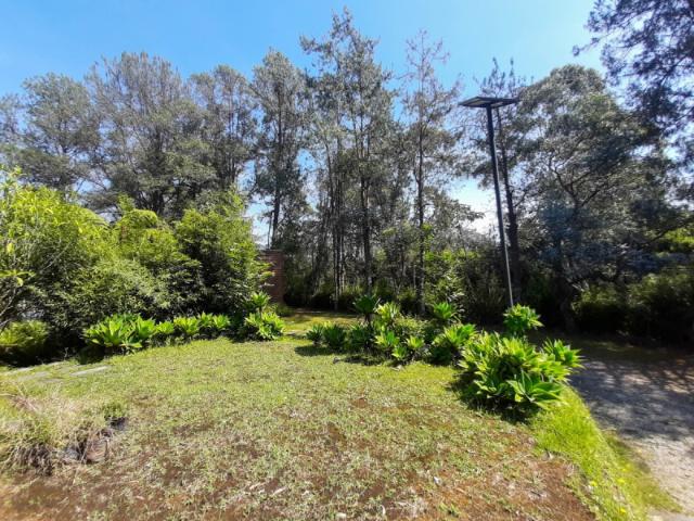 Lote En Arriendo En Retiro En El Retiro A351925