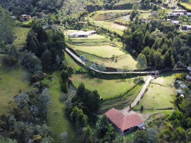 Lote En Arriendo En Rionegro En Rionegro A352038