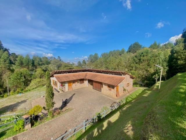 Lote En Arriendo En Rionegro En Rionegro A352038
