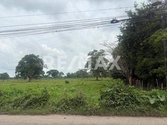 Terreno en renta en Centro, Tabasco