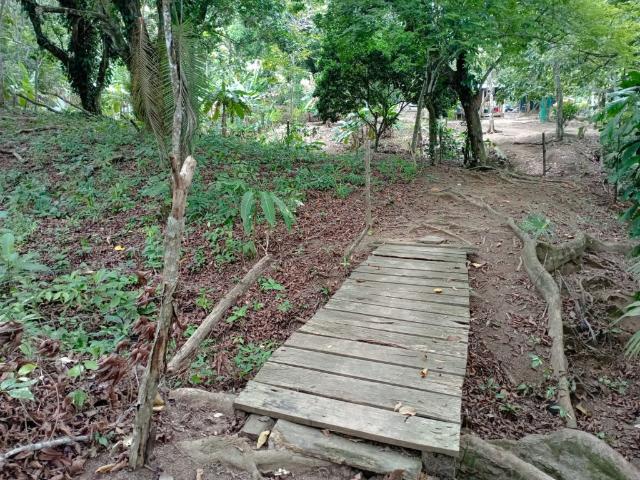 Lote en venta en Choco