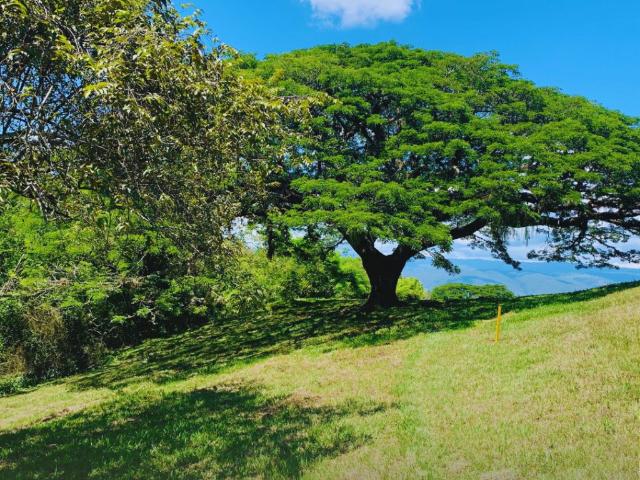 Lote en venta en Andalucía, Valle Del Cauca