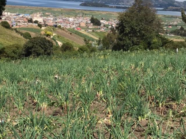 Lote en venta en Boyacá, Pueblo Viejo