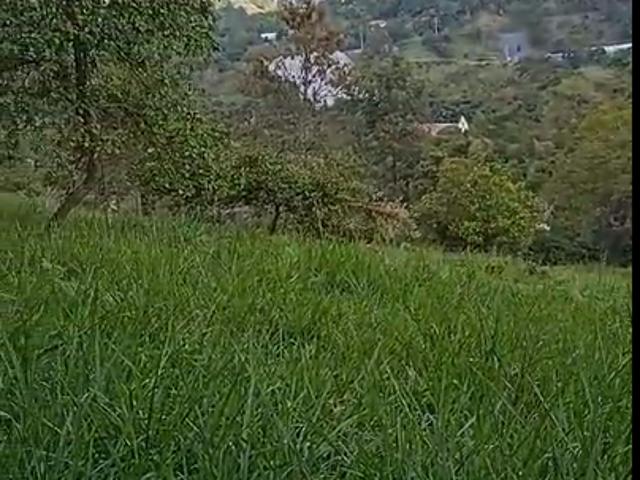 Lote en venta en Cundinamarca
