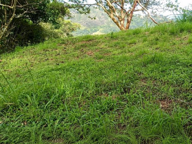 Lote en venta en Sur, Los Andes