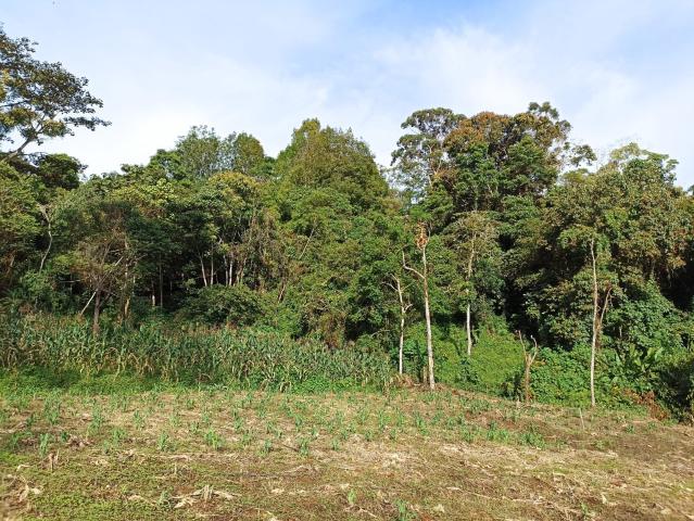 Lote En Venta En Cali En Cto La Elvira V270680