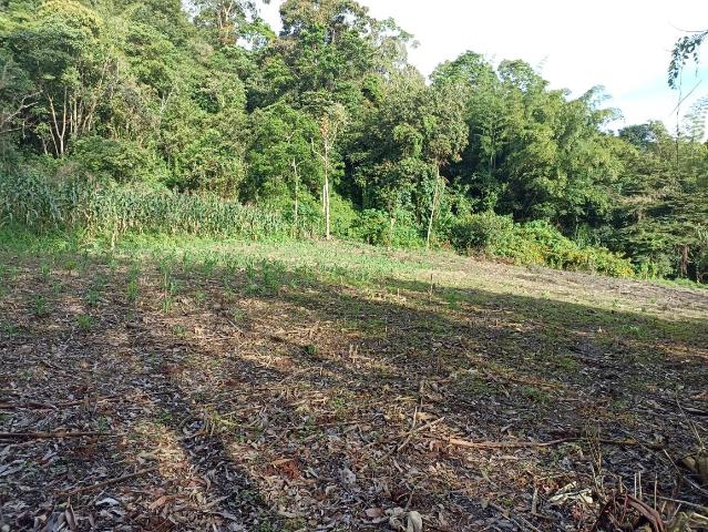 Lote En Venta En Cali En Cto La Elvira V270680