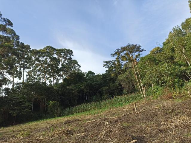 Lote En Venta En Cali En Cto La Elvira V270680