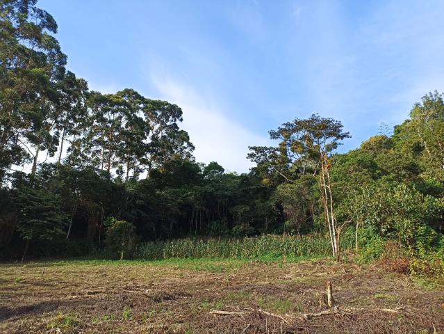 Lote en venta en Sur, La Elvira