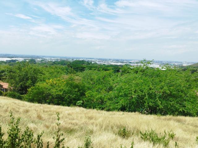 Lote En Venta En Cali En Dapa V144050