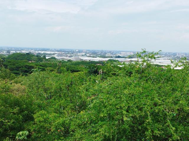 Lote En Venta En Cali En Dapa V144050