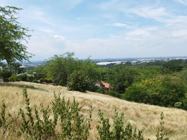 Lote En Venta En Cali En Dapa V144050