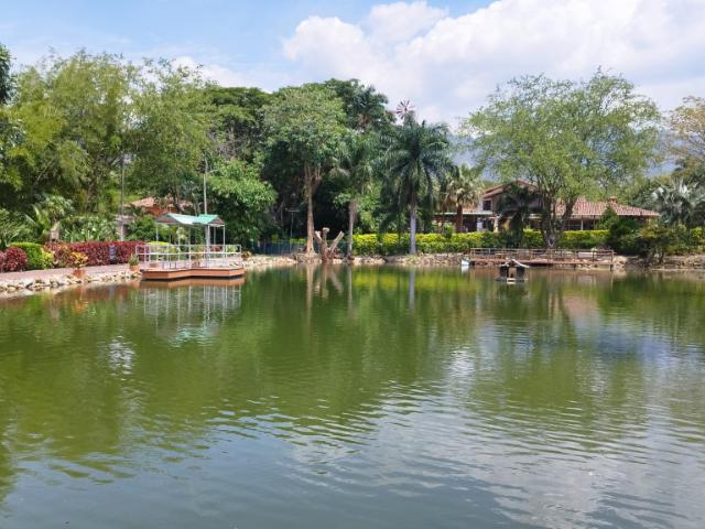 Lote En Venta En Cali En Dapa V144050