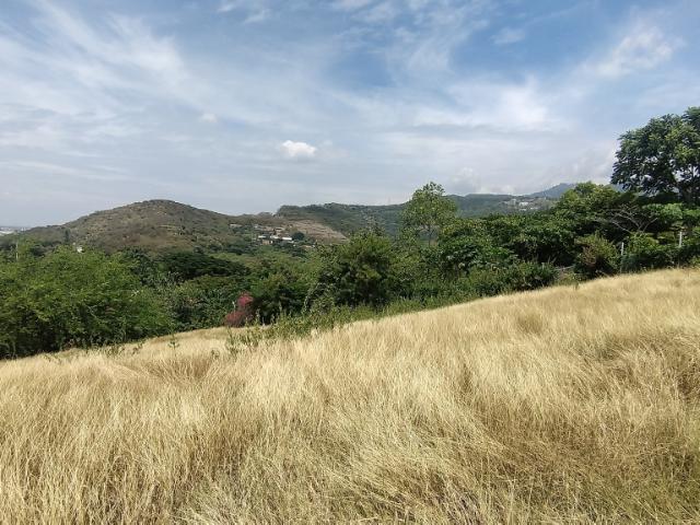 Lote En Venta En Cali En Dapa V144050