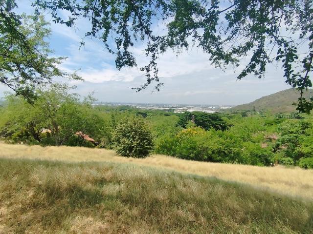 Lote En Venta En Cali En Dapa V144050