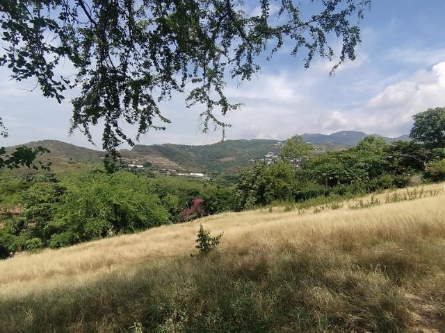 Lote En Venta En Cali En Dapa V144050