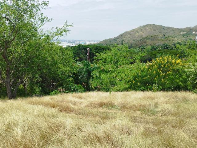 Lote En Venta En Cali En Dapa V144050