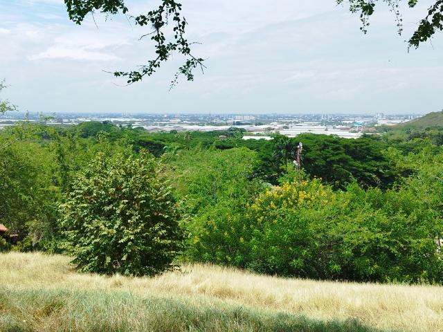 Lote En Venta En Cali En Dapa V144050