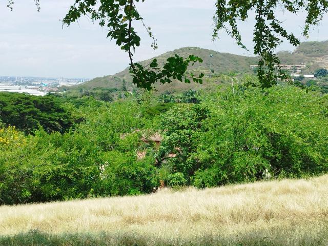 Lote En Venta En Cali En Dapa V144050