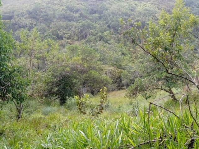 Lote en venta en Sur, La Buitrera