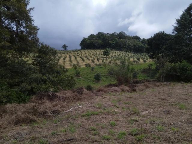 Lote en venta en Yotoco, Valle Del Cauca