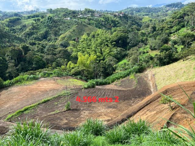 Lote En Venta En Circasia V134975