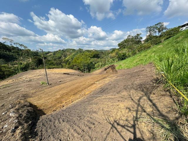 Lote En Venta En Circasia V134975