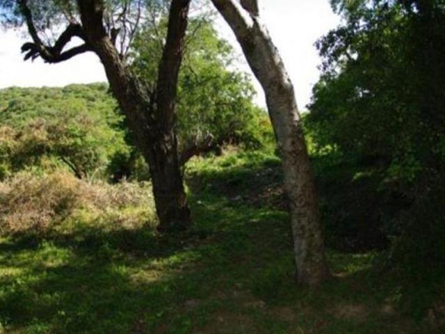 Terreno en venta en Chietla, Puebla