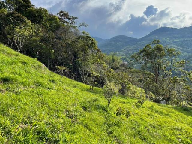 Lote en venta en Unidad Residencial María Parda, Cocorná