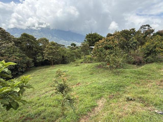 Lote en venta en Antioquia, Cocorná