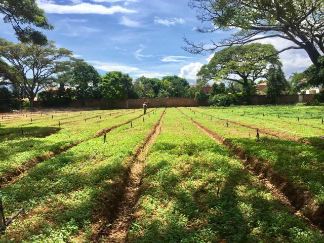 Lote en venta en Tibú, Norte De Santander