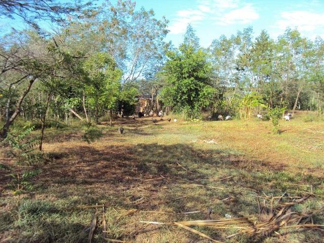 Lote en venta en San Cayetano, Oriental