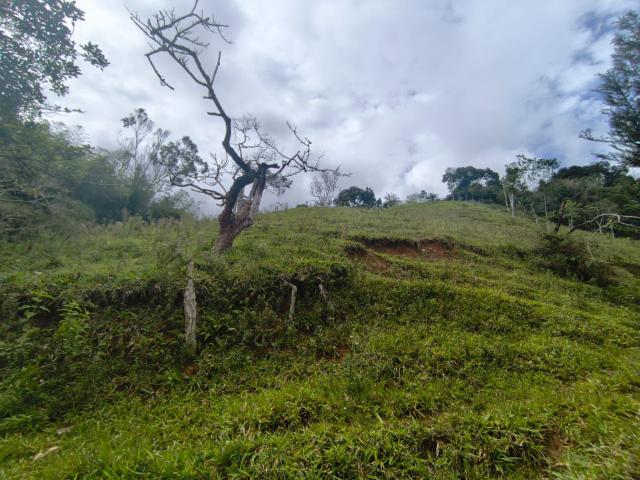 Lote En Venta En Dagua En La Elvira V337777