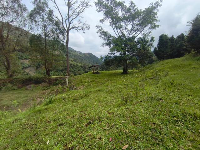 Lote En Venta En Dagua En La Elvira V337777