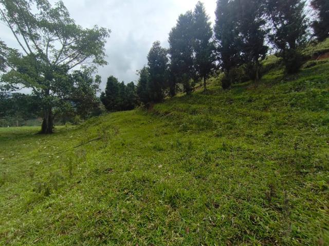 Lote En Venta En Dagua En La Elvira V337777