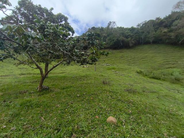 Lote En Venta En Dagua En La Elvira V337777