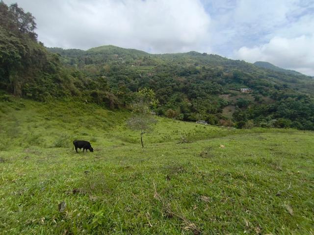 Lote En Venta En Dagua En La Elvira V337777