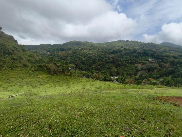 Lote En Venta En Dagua En La Elvira V337777