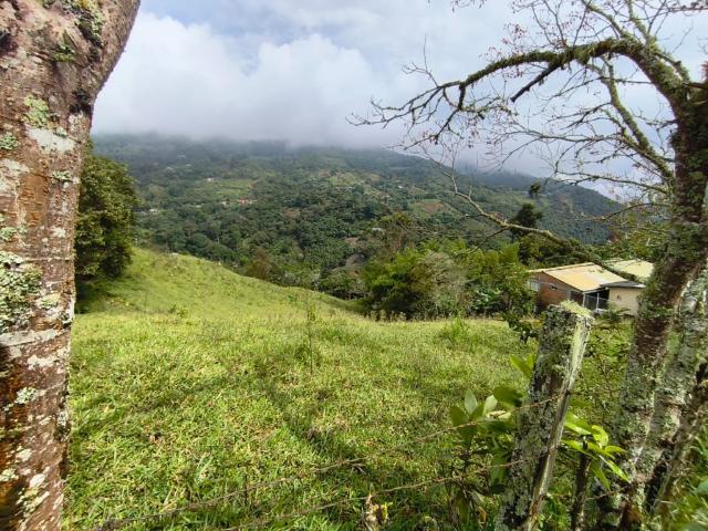 Lote En Venta En Dagua En La Elvira V337777