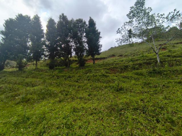 Lote En Venta En Dagua En La Elvira V337777