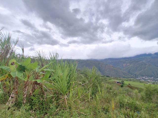 Lote en venta en Dagua, Sur