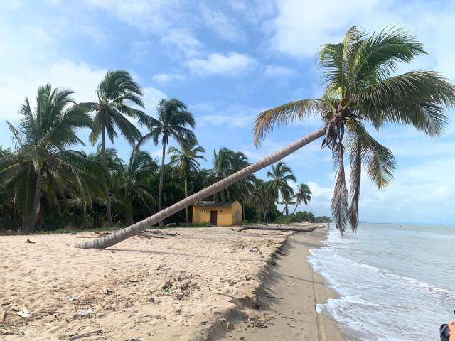 Lote En Venta En Dibulla En. V208248
